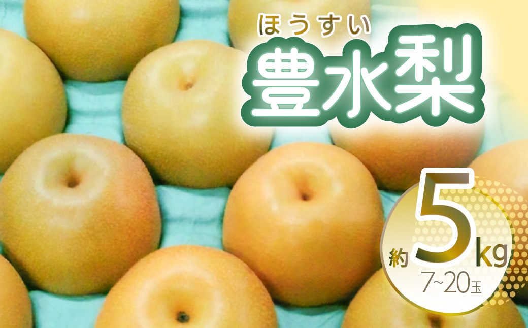 【先行予約】豊水梨 約5kg 7～20玉 熊本県産【2024年8月上旬より順次発送】