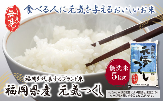 Y17-21 令和7年産 無洗米 福岡県産・元気つくし5kg お米 米 こめ コメ ブランド米 白米 人気 おすすめ 無洗米 げんきつくし 福岡県産米 食料品 福岡県 ★レビューキャンペーン開催★