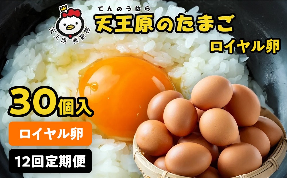 【定期便】12回定期 【天王原のたまご】 ロイヤル卵 30個入り
