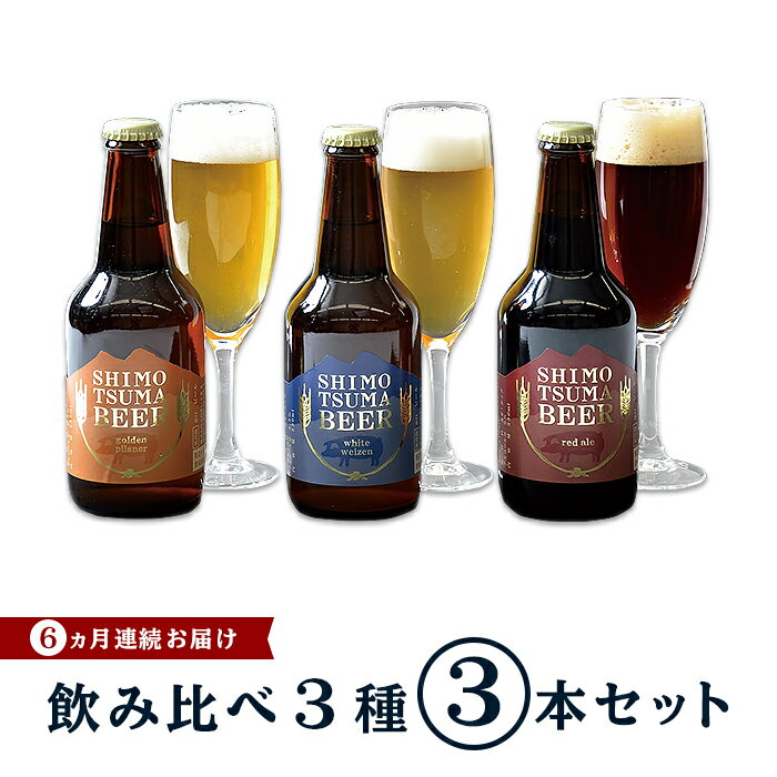 【ふるさと納税】ビール 定期便 14-4【6ヵ月連続お届け】しもつまクラフトビール3本セット