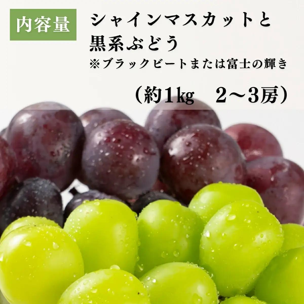 シャインマスカット 黒系ぶどうセット 1kg | シャインマスカット