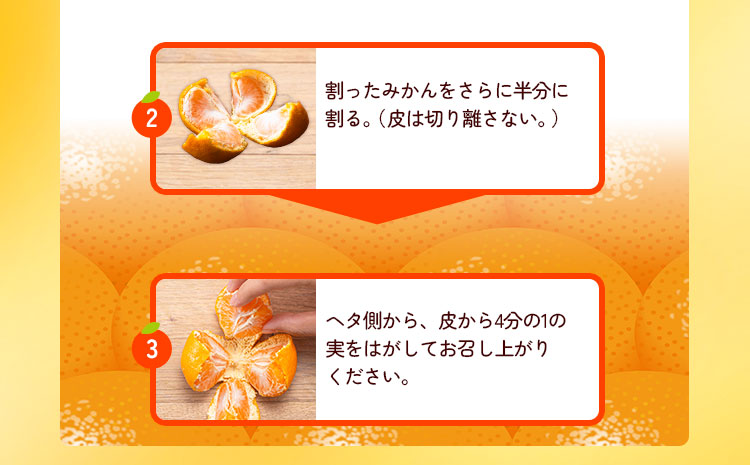 迫力満点！大粒 有田みかん 2L-4Lサイズ 約2kg 有田マルシェ《11月上旬-1月上旬頃出荷》和歌山県 日高町 みかん 大粒 有田みかん 温州みかん 柑橘 フルーツ ミカン 蜜柑