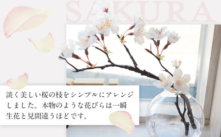 新春　淡雪桜　さくら　魔法の水　マジカルウォーター『淡雪』