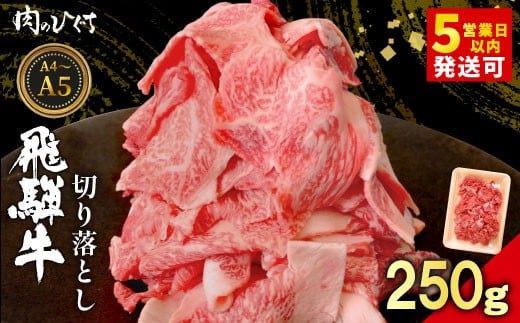 【12月発送】 飛騨牛 切り落とし 250g A5 A4 国産 牛 黒毛和牛 和牛 牛肉 切落し 切り落し 薄切り 訳あり 牛丼 すき焼き しゃぶしゃぶ 炒め物 東白川村 岐阜 飛騨 贅沢 霜降り ロース バラ もも ウデ 肉のひぐち