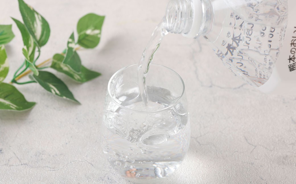 熊本のおいしいお水 阿蘇のメイスイ 2L×6本（1ケース）