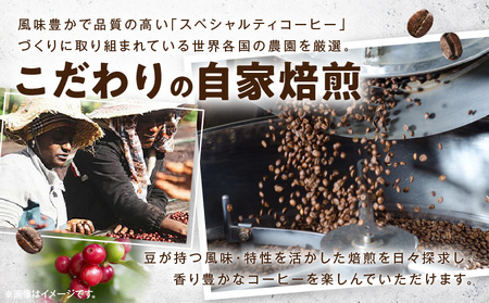 コーヒー 豆 コーヒー[レイドバック珈琲の自家焙煎スペシャルティコーヒーシングルオリジン150g×3種セット(豆)]