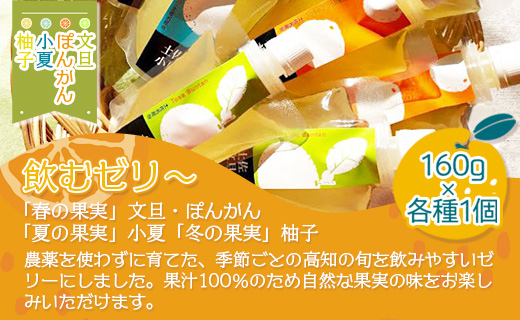土佐の果実・飲むゼリー 4個セット - 詰め合わせ つめあわせ 飲み比べ のむゼリー フルーツ スイーツ 果物 柑橘 おいしい 美味しい 甘い あまい デザート 贈り物 ギフト 香南市 ts-0006