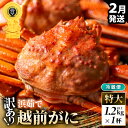 【ふるさと納税】【先行予約】【冷蔵】越前がに 訳あり足折れ 特大 1杯 1.2kg以上（茹で前）【2025年2月上旬以降順次発送予定】