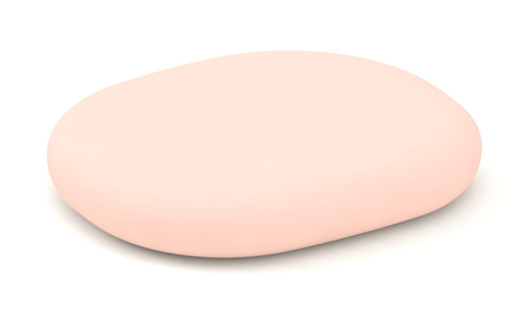 Pebble C （C300）