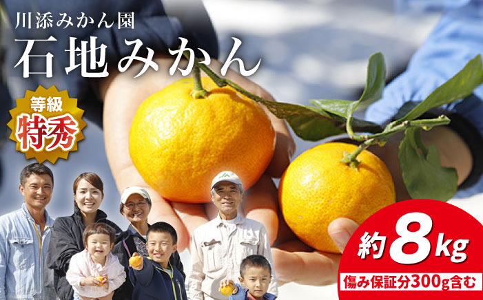 【12月上旬より配送開始☆特秀品】石地みかん 約8kg（傷み保証分300g含む）＜川添みかん園＞ [CCT008] みかん