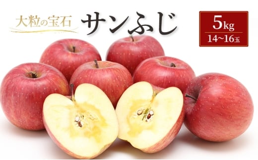 サンふじ 5kg（一般）林檎 リンゴ 果物 フルーツ おやつ デザート 旬の果物 旬のフルーツ 季節の果物 季節のフルーツ 岩手りんご 岩手県 盛岡市