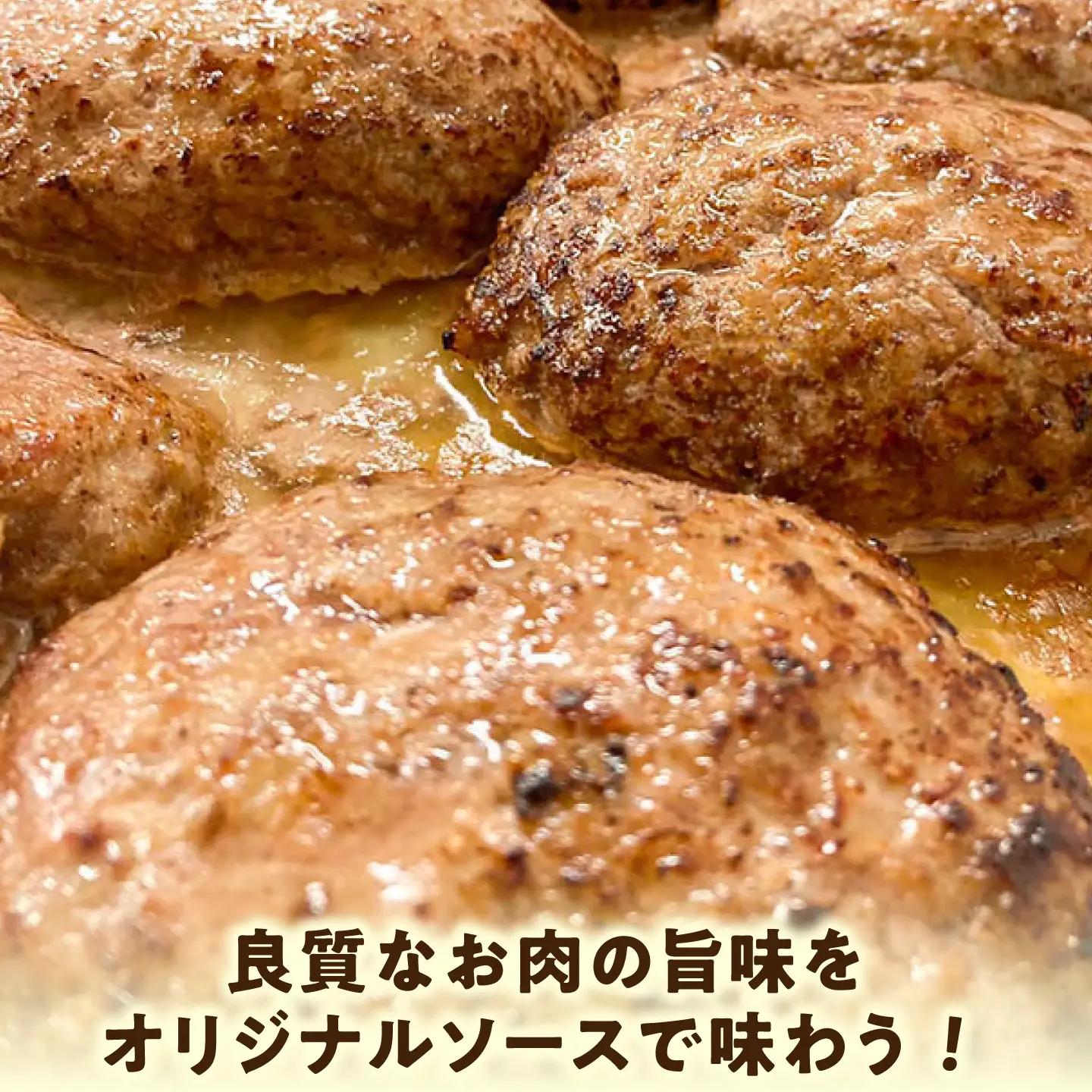プレミアムハンバーグ ソース入り10個 【有限会社横須賀松坂屋】[AKCY012-1]