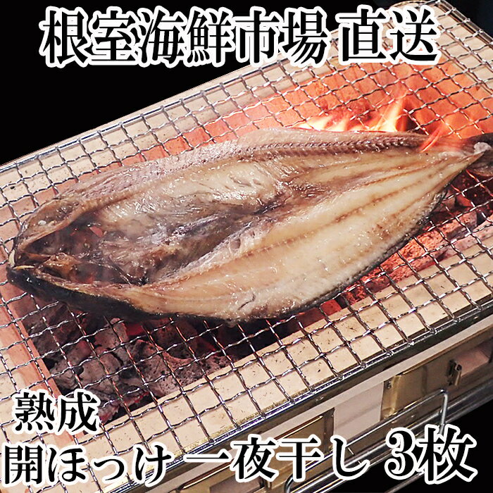 【ふるさと納税】 開きほっけ一夜干し 選べる 3 枚 6 枚 ホッケ 魚 さかな サカナ お取り寄せ グルメ 海鮮 一夜干 干物 熟成 北海道 根室市 ふるさと納税