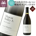 【ふるさと納税】 ワイン 山梨 シャトー酒折 赤 マスカットベリーA 樽熟成 キュヴェ・イケガワ ミディアムボディ お酒 パーティ クリスマス 誕生日 敬老の日 記念日 k021-100