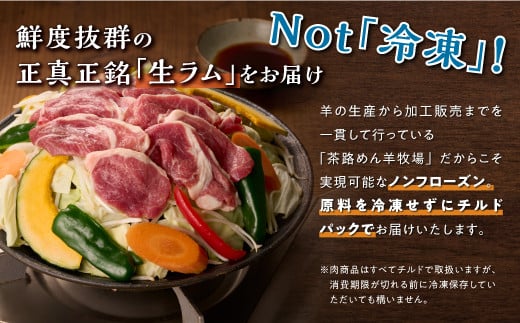 焼肉用ラム肉スライス【250g×2パック、オリジナルスパイス10g】_I020-0442