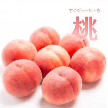 【発送月固定定期便】旬のフルーツ定期便 桃2kg・巨峰/シャイン全2回【配送不可地域：離島・沖縄県】【4076702】