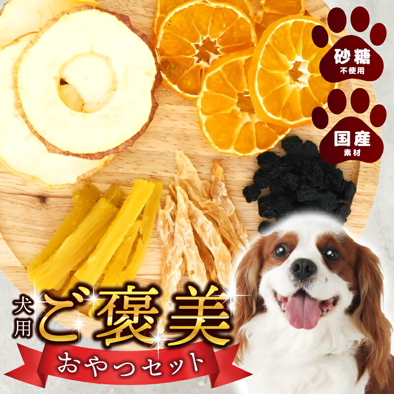 【ふるさと納税】犬用 ご褒美 おやつ セット 無添加 ドッグフード ペットフード 果物 ドライフルーツ ささみ ドライおやつ 低温乾燥 詰め合わせ 国産資材 砂糖不使用 国産 安心 犬のおやつ トレーニング 栄養補給 ナチュラル ペット 犬 小型 大型 大阪府 泉佐野市 送料無料