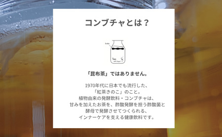 コンブチャ 発酵飲料 KBT 煎茶720ml 健康 コンブチャ