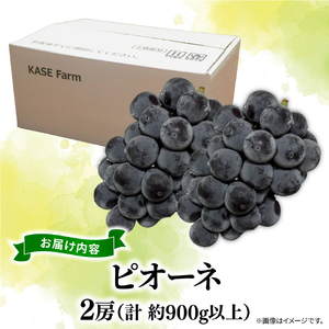 訳あり ピオーネ 2房 計 900g 以上 数量限定 種なし 