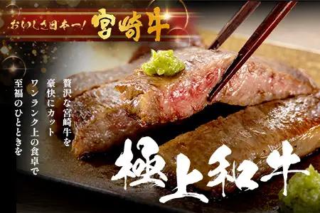 宮崎牛 ロース ステーキ 約500g（2枚入）×1P 冷凍｜国産 牛肉 4等級以上 黒毛和牛 肉 お肉 ブランド牛 鉄板焼き 高級 株式会社ミヤチク 宮崎県 諸塚村 MY-01