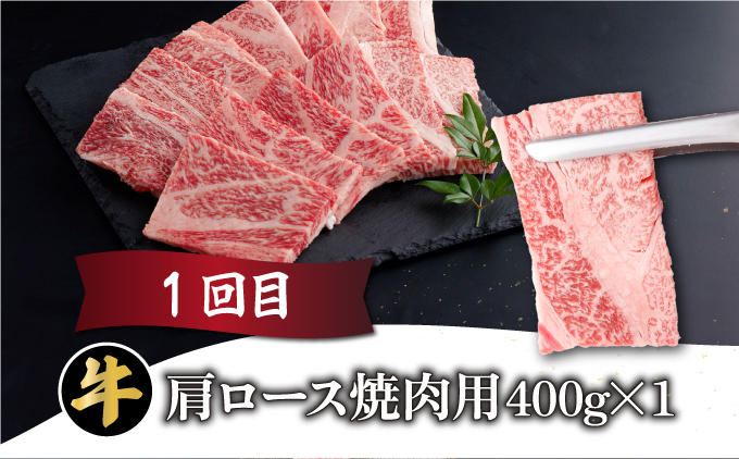 【定期便・全3回】宮崎牛 焼肉用 3ヶ月定期便 肩ロース焼肉用 ウデ焼肉用 モモ焼肉用 合計1.2kg 焼肉用 スライス お肉 牛肉 すき焼き BBQ 宮崎県 送料無料 【MCT3UY-12】
