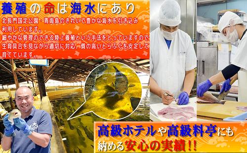 (12007)幻の高級魚　クエのお刺身(薄造り)　3～4人前　160ｇ　長門市　冷凍　山口県