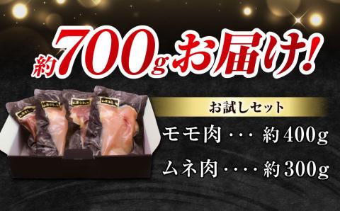 【とや原ファーム】信州黄金シャモお試しセット