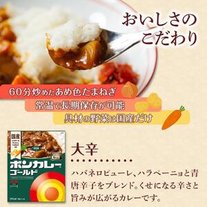 【定期便 全9回】ボンカレーゴールド（大辛）30個×9回　計270個
