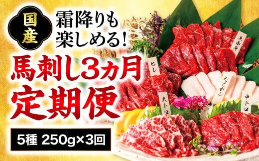 
										
										【熊本肥育】熊本馬刺し 高級部位 食べ合わせ 250g【定期便3ヵ月】上赤身 霜降り たてがみ 馬ヒレ 専用醤油付き【熊本と畜】
									