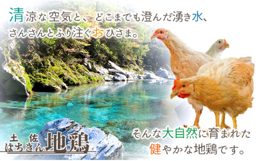 【定期便】土佐はちきん地鶏むね肉 1kg×2ヵ月連続 地鶏 ムネ肉 胸肉 鶏肉 とり肉 とりにく 肉 定期 高知県 大川村  鶏ムネ 鶏むね肉 むね肉 鶏 ムネ チキン 食品 F6R-005