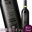 【ふるさと納税】山葡萄ワイン 720ml 辛口 山葡萄 山ぶどう 山ブドウ ぶどう ブドウ ワイン お酒 酒 アルコール わいん 赤ワイン 赤 ポリフェノール ボトル お祝い お取り寄せ クリスマス パーティー 醸造 ふるさと納税 福島県 石川町 石川 【09012】