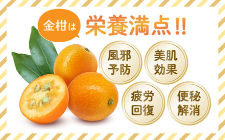 【先行予約】温室金柑 2㎏(250g×8パック)