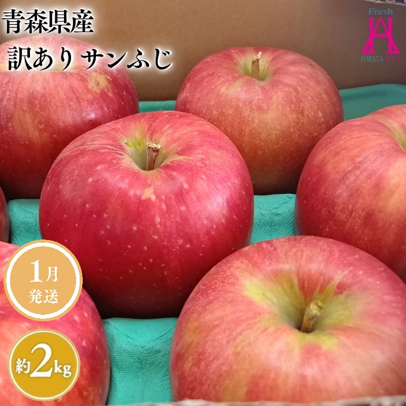 1月発送【訳あり】家庭用サンふじ約2kg【原田青果】りんご 林檎 リンゴ 果物 くだもの フルーツ 不揃い 規格外