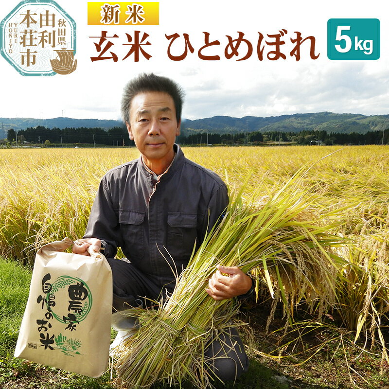 【ふるさと納税】【玄米】 ＜通算5回 特A＞ ひとめぼれ 5kg 令和7年産 新米 農家直送 渡部さんのひとめぼれ