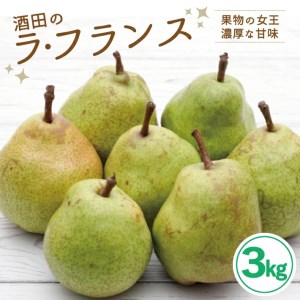 SA2921　酒田のラ・フランス　約3kg