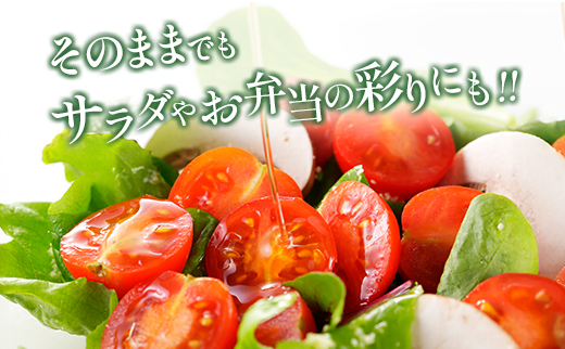 数量限定 くるみのトマト 計1.3kg 1箱［2026年発送］宮崎県新富町産 朝採れ 野菜 フレッシュ 国産【B667】