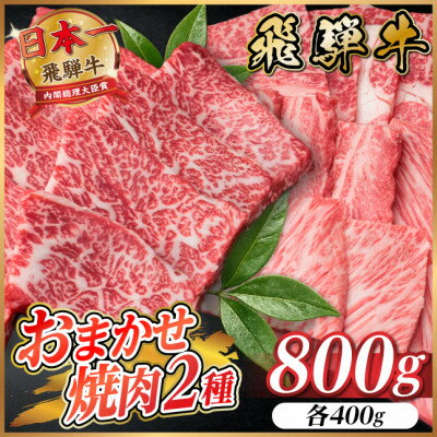 【ふるさと納税】飛騨牛　おまかせ焼肉2種セット約800g(各約400g) 訳あり　BBQ　上カルビ・ロースなど【配送不可地域：離島】【1738976】
