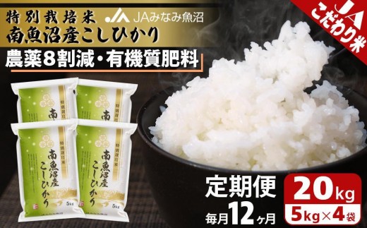 【JAみなみ魚沼定期便】特別栽培米南魚沼産こしひかり8割減（20kg×全12回） ≪精米 農薬8割削減 有機肥料 精米HACCP認定工場 特A獲得日本一産地 高品質精米 もっちり甘い 南魚沼産コシヒカリ 定期便 コシヒカリ こしひかり 銘柄米≫