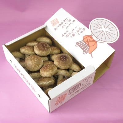 
                  徳島県産菌床生椎茸　しいたけ侍　20枚入【1714390】
                