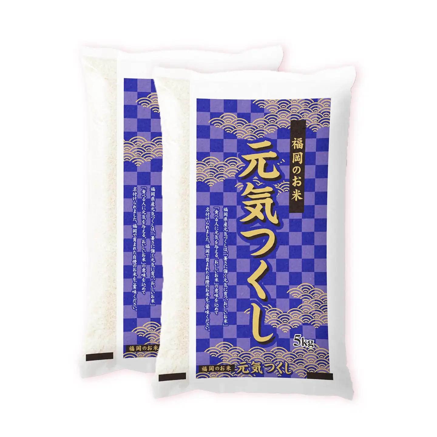 令和7年産　福岡県　元気つくし　10kg（5kg×2袋）《築上町》【カネガエ】[ABFA005]