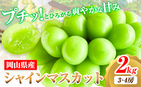 【2026年先行予約】シャインマスカット 岡山県産 2kg 3房 ~ 4房《2026年9月上旬-9月中旬頃より発送予定》ひらた農園 マスカット 送料無料 岡山県 浅口市 シャインマスカット ぶどう フルーツ 果物 贈り物 ギフト 国産 くだもの 果物 青果物