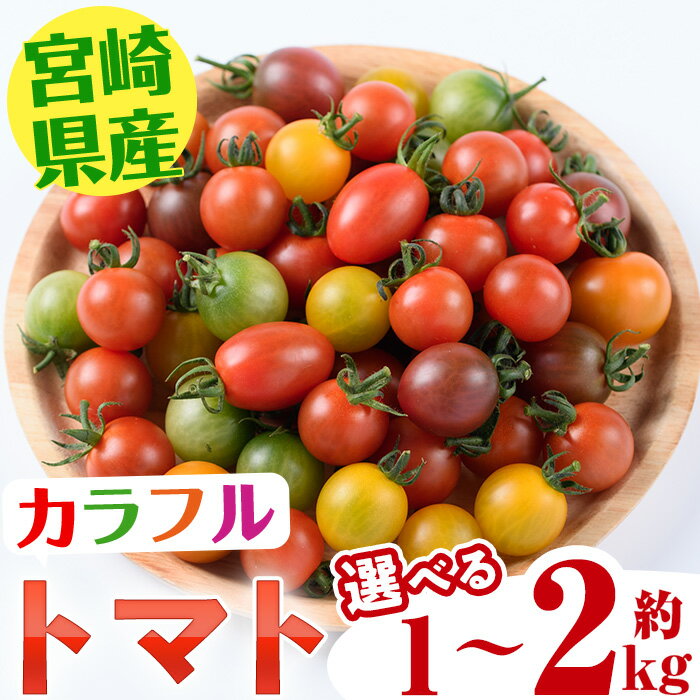 【ふるさと納税】＜先行予約受付中！2025年11月上旬から順次発送予定＞＜内容量が選べる！＞カラフルトマト食べ比べセット(約1～2kg)国産 宮崎県産 とまと 野菜 サラダ 黄色 オレンジ みどり 紫 アイコ 赤 セレブスイート【KT-9・KT-2】【K.TFarm】
