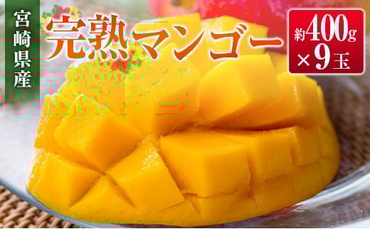 宮崎県産 完熟マンゴー(9玉)