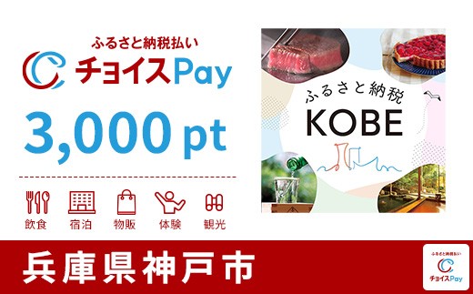 
                  神戸市チョイスPay 3,000pt【会員限定のお礼の品】
                