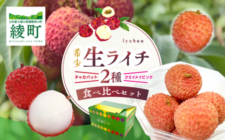 【数量限定】希少 国産 綾生ライチ 2種食べ比べセット/ 宮崎県 綾町産 ライチ 国産ライチ 生ライチ 果物 フルーツ ライチ 産地直送 お中元