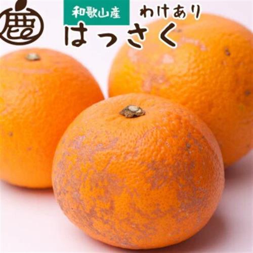 家庭用 はっさく10kg+250g(傷み補償分)【八朔みかん】【光センサー選別】【訳あり】【配送不可地域：離島・北海道・沖縄】【1527460】