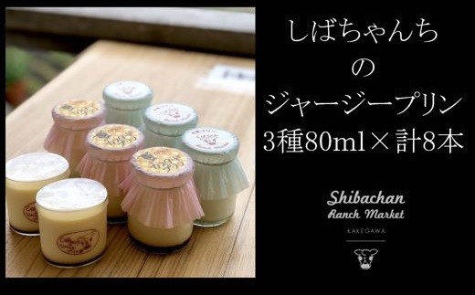 
６０１９　しばちゃんちのジャージー｢ プリン ｣ 3種 80ml × 計8個 セット 柴田牧場
