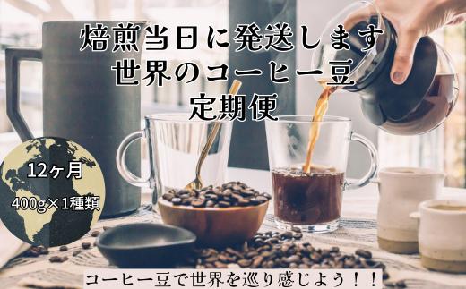 【コーヒー豆定期便12か月】『焙煎幸房“そら”』世界を旅するコーヒー　酸味は苦手、浅煎り抜きコース・粉　400g×1種類  挽きたて 珈琲 自家焙煎 coffee 高級 希少 こだわり  コ ーヒー 焙煎幸房“そら”  岐阜県 大垣市