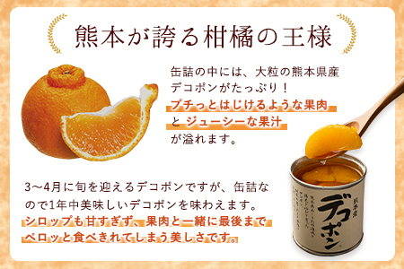 期間限定 デコポン缶詰10缶入り《60日以内に出荷予定(土日祝除く)》熊本県 葦北郡 津奈木町 あしきた農業協同組合 JAあしきた 柑橘 デコポン フルーツ 果物 缶詰 送料無料