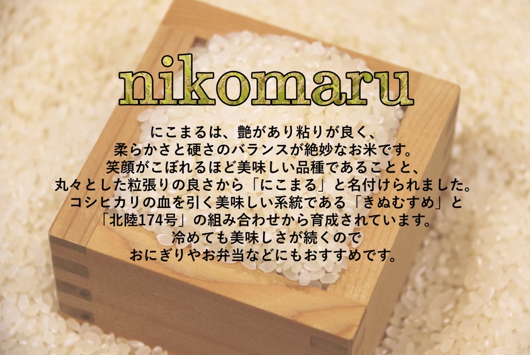 【お米　特別栽培米】岡山県産「にこまる」5kg（令和7年産）